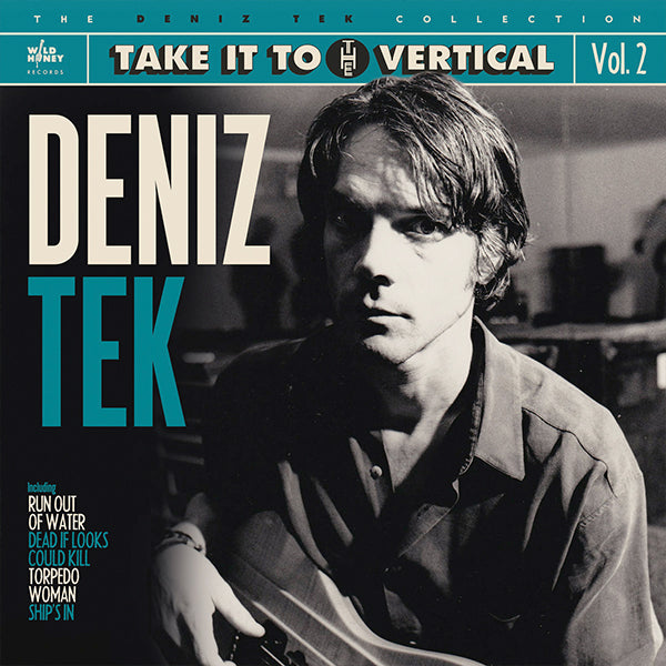 Deniz Tek - Deniz Tek Collection Vol. 2: Take it to the Vertical (LP)